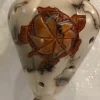 Hot Gina Arrighetti Turtle On Balloon